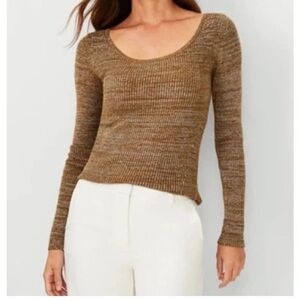 Ann Taylor NWT Metallic Sparkle Scoop Neck Stretch Bodycon Ribbed Sweater XXL